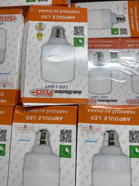 Ampoule LED Économique 12W