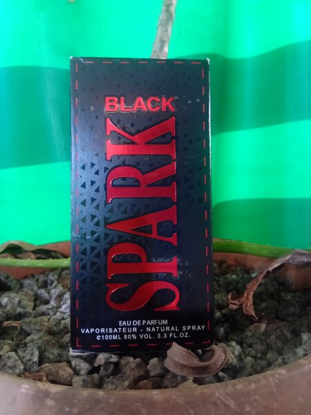 Parfum Black Spark 100ml