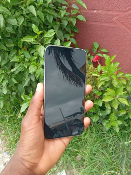 iPhone 13 Pro Max 128 go importé batterie 86% jamais démonté