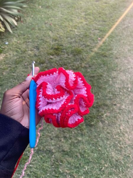 Accessoire pour cheveux