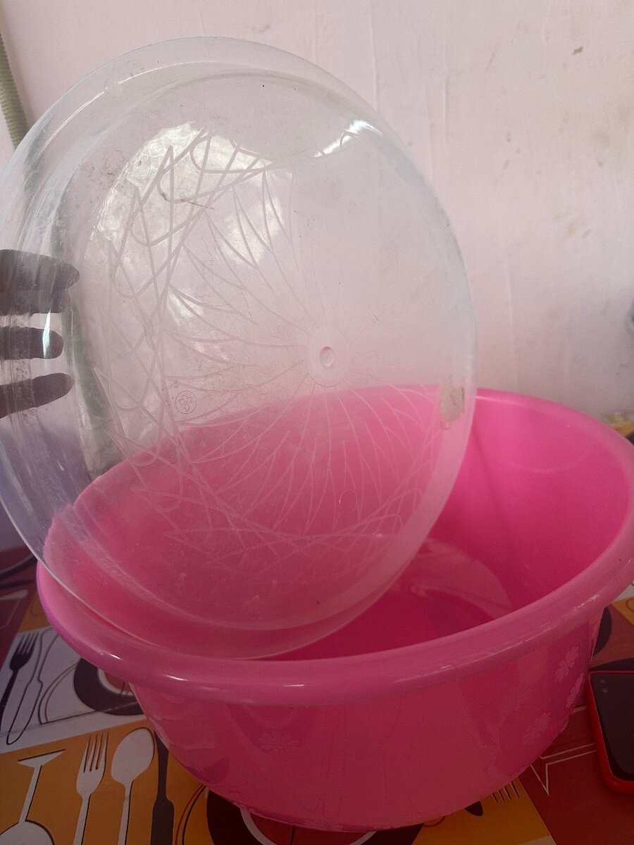 Bassine en plastique avec couvercle