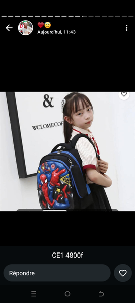 Cartable Enfant Motif Héros CE