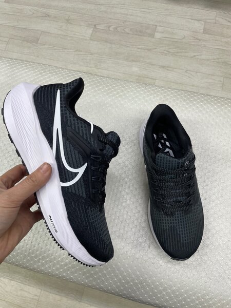 Nike pegasus39