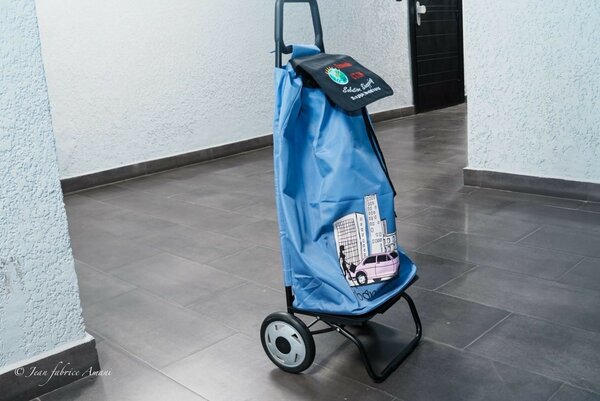 Chariot de Course Pliable - Urbain