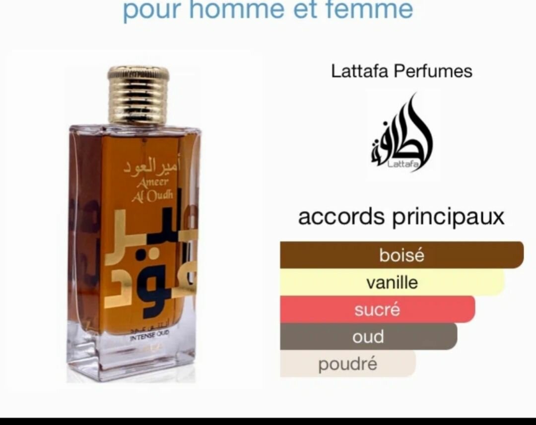 Parfum Ameer al oudh