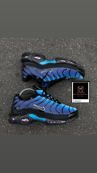 Baskets de Course Bleues