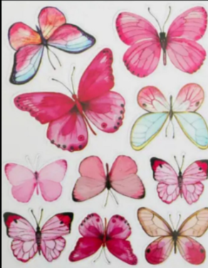 Assorted Butterflies 