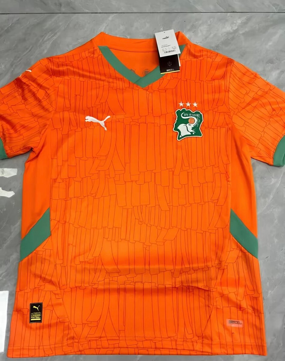 Maillot Côte d'Ivoire Puma