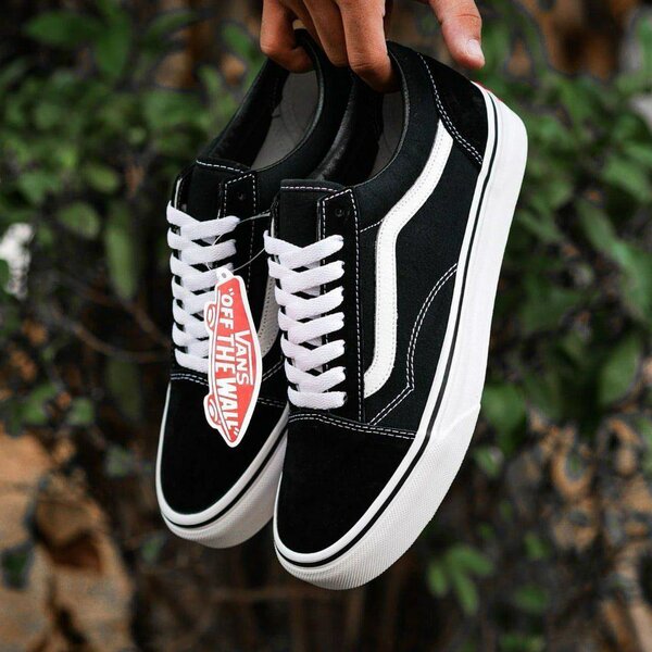 Vans authentique