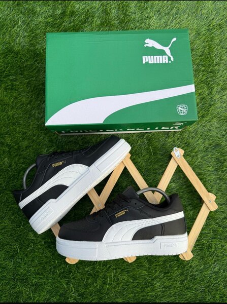 Puma avec son carton