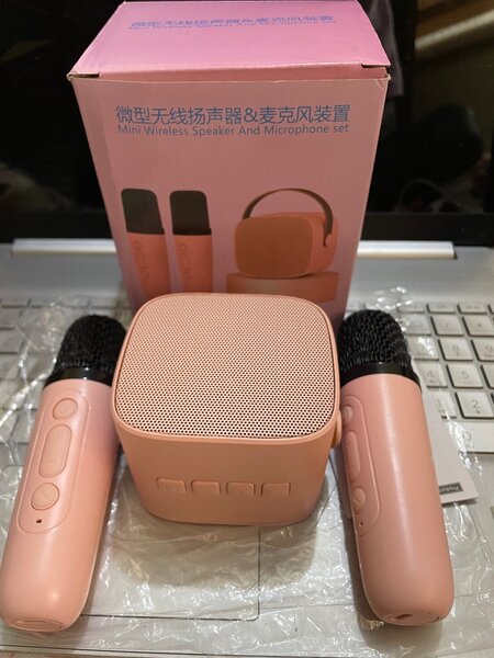 Enceinte connecter avec micros