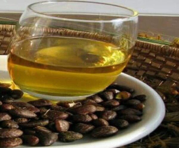 Savon et huile de palmiste