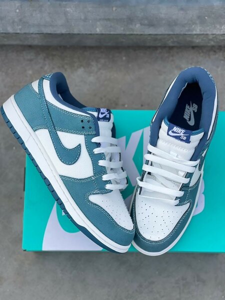 JORDAN NIKE SB COULEUR RARE