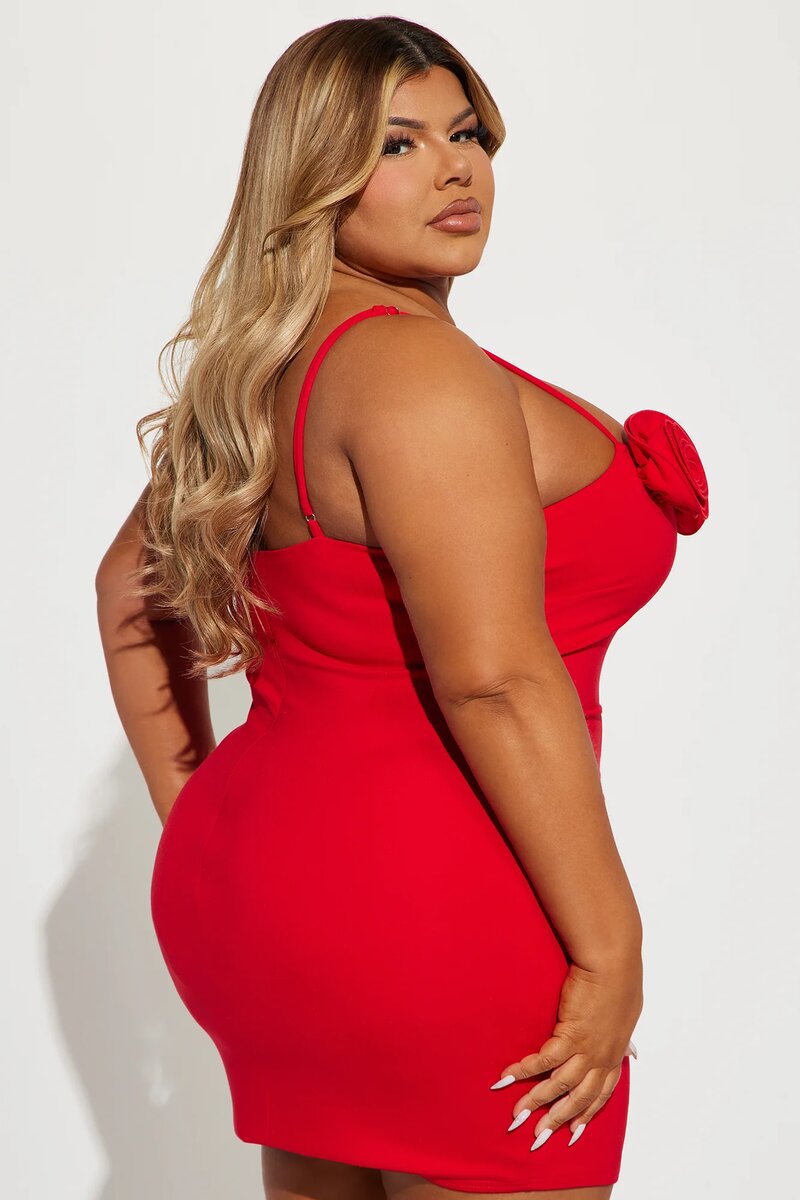 FASHIONNOVA DRESS