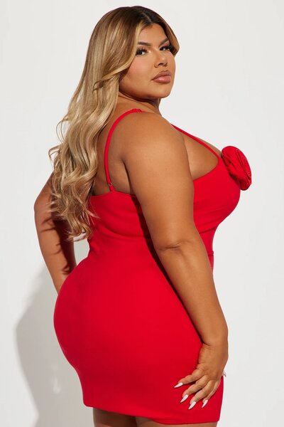 FASHIONNOVA DRESS