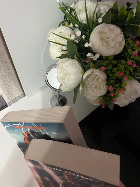 Трилогия «Лисья нора» и «Король воронов»