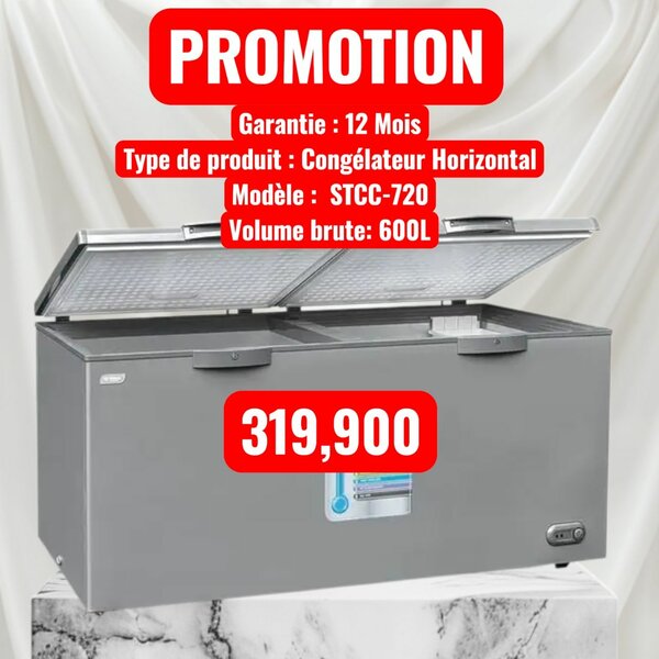 Congélateur Horizontal 600L