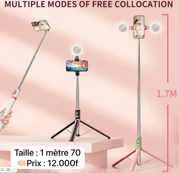 bâton à selfie