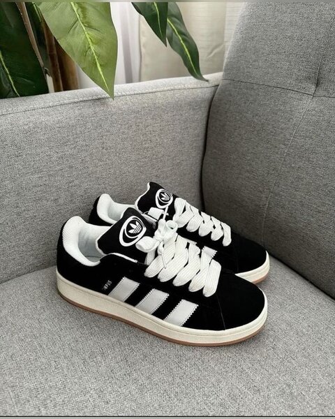 Adidas campus original