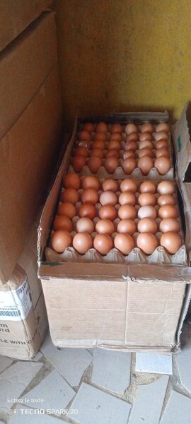 Œufs Frais Bio - Lot de 30