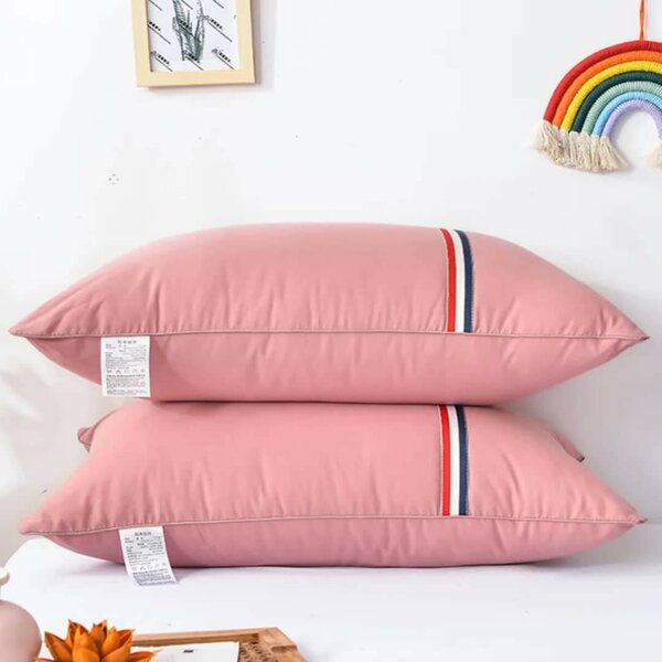 Oreillers décoratifs roses élégants