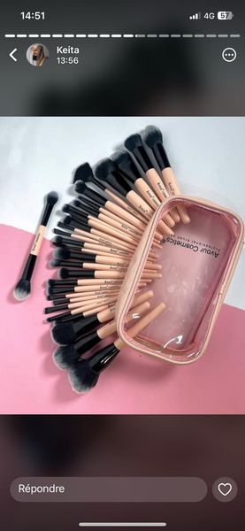 Set de pinceaux professionnel