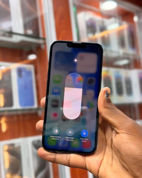 iPhone 12 Pro Max 256GB