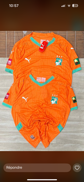 Maillot Côte d'Ivoire Puma