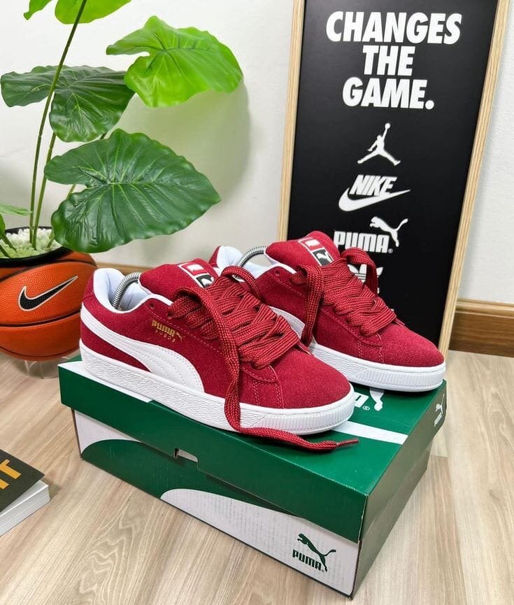 Puma Suède Classiques