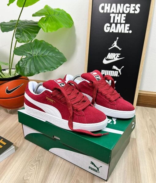 Puma Suède Classiques