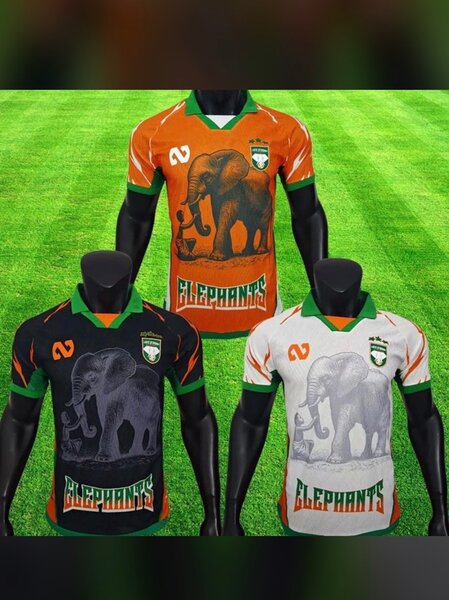 Maillot de sport Éléphants
