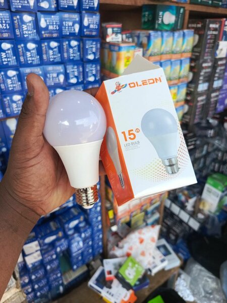 Ampoule LED 15W Économique