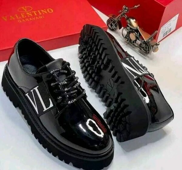 Louis Vuitton classic shoes