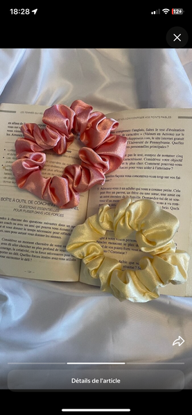 Lot de Chouchous Satinés Colorés