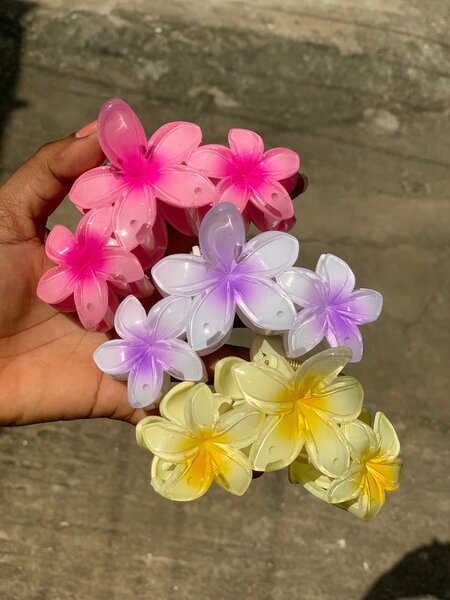 Pinces à cheveux fleuries colorées