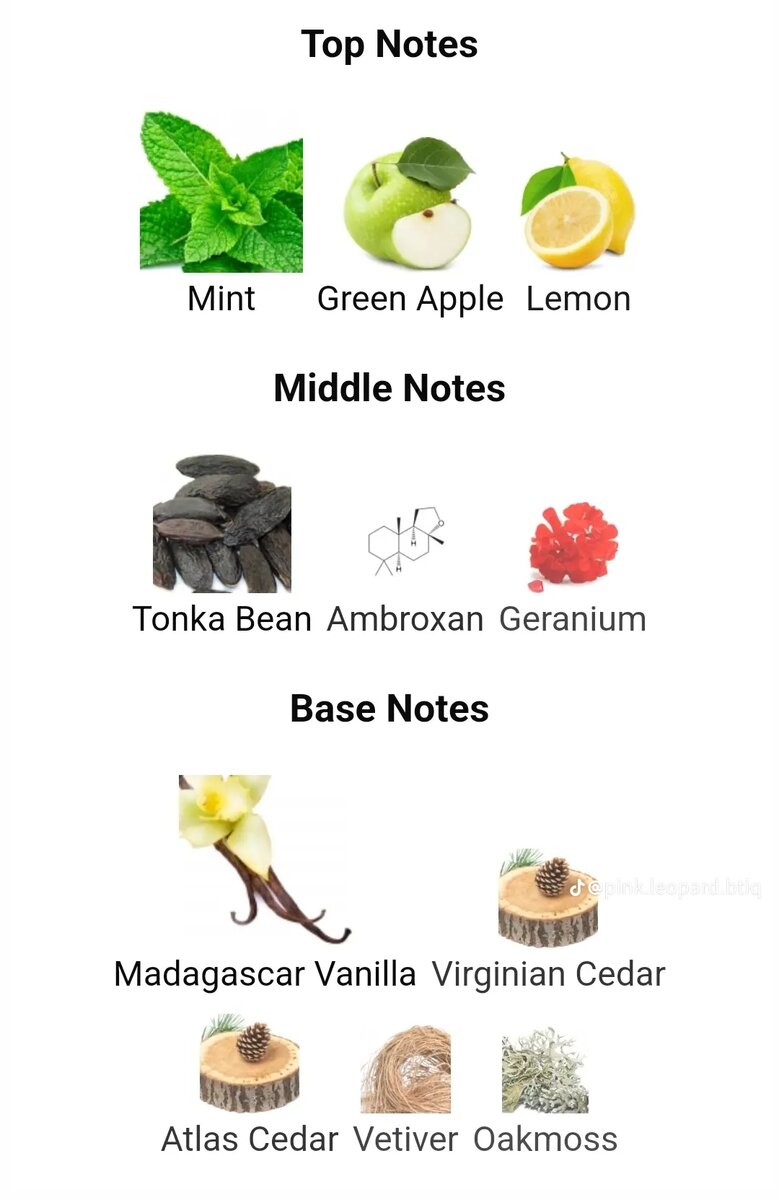 Kings & Queens ETHOS