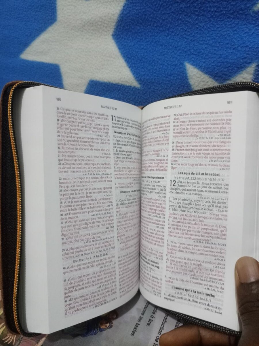 Bible Louis Segon couverte