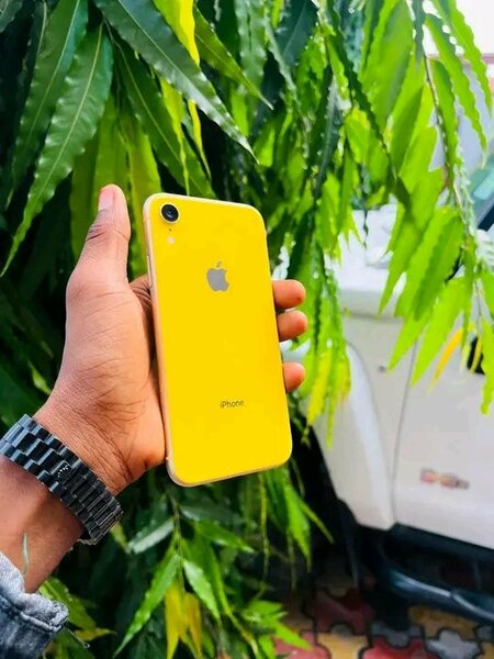iPhone xR Jaune Élégant