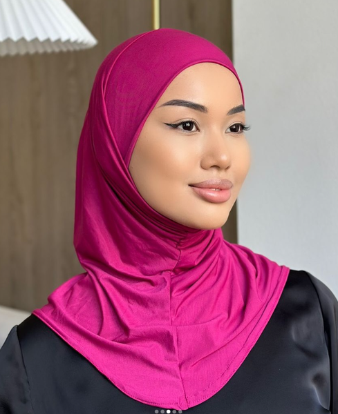 Модель ЗЕЙНА