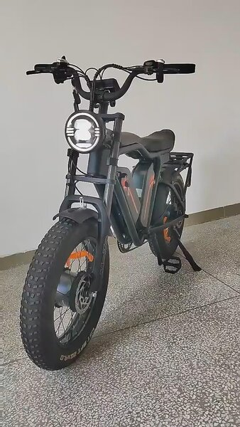 Vélo électrique robuste