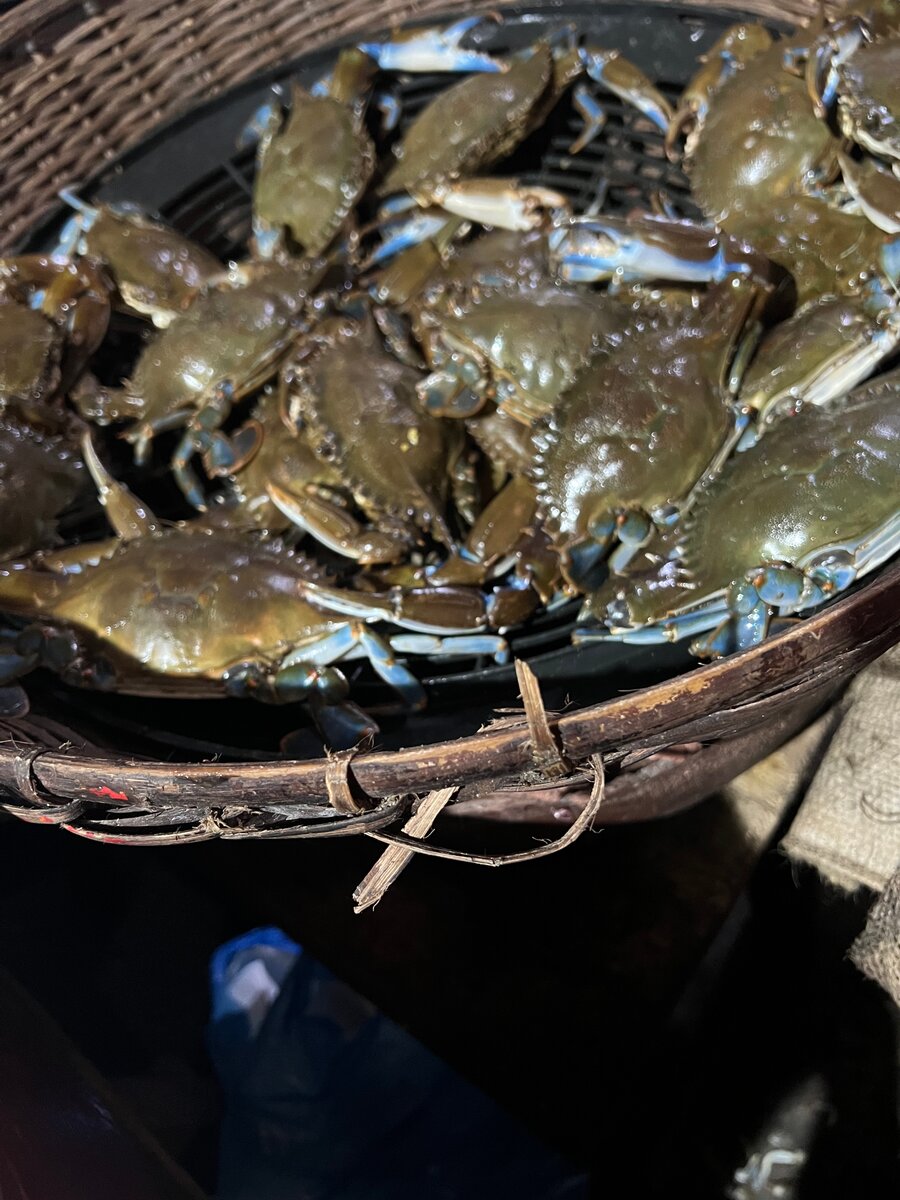 Crabes et Crevettes Frais