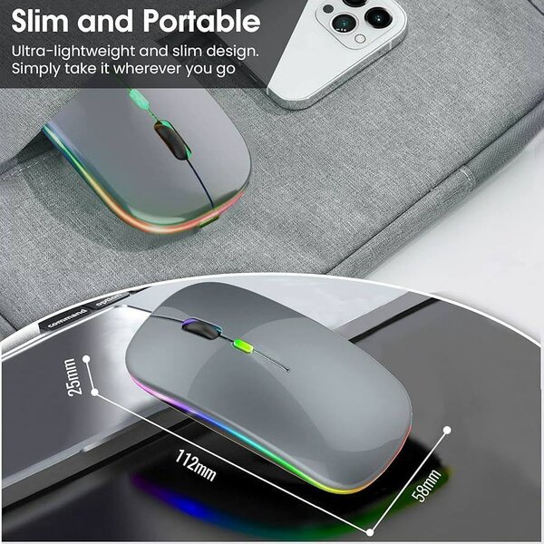 Souris Sans Fil Ergonomique RGB