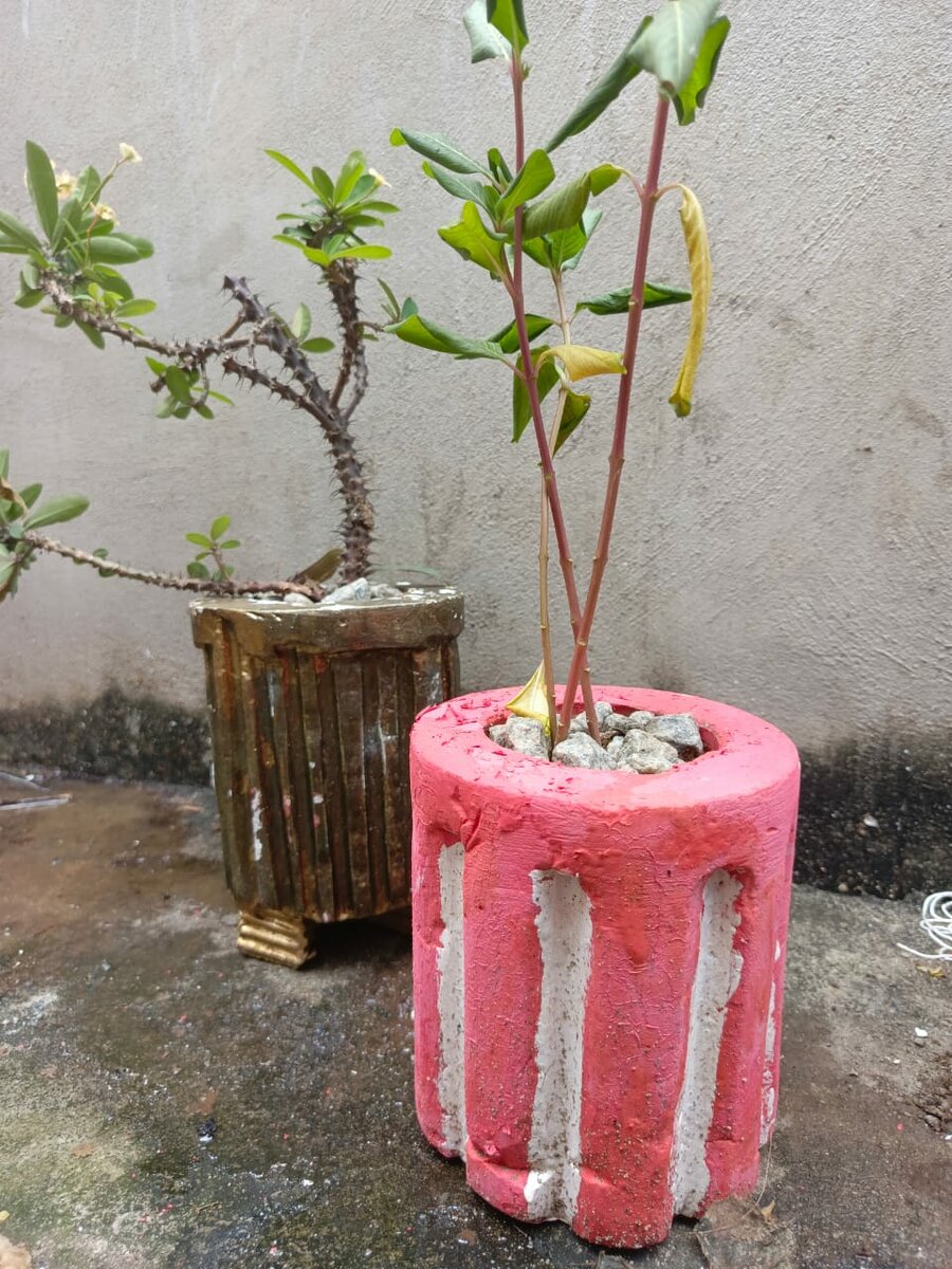 Pots en béton colorés