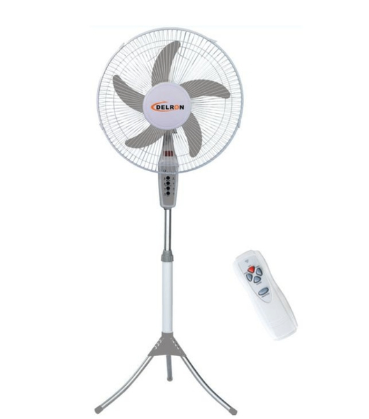 Remote Standing Fan