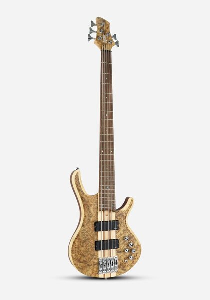 Guitare basse 5 cordes