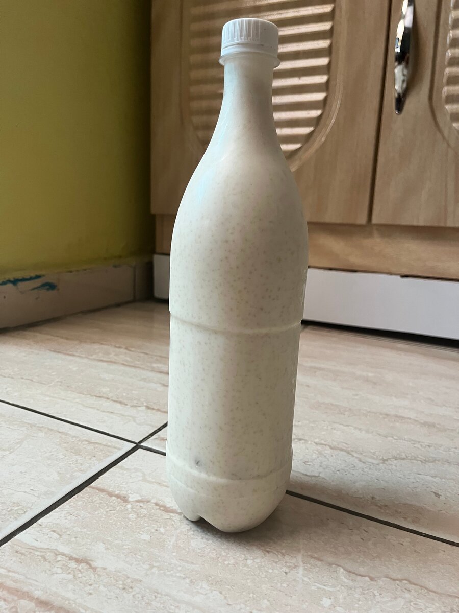 Deguê couscous - Mil - Yaourt