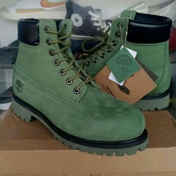 Chaussure Timberland