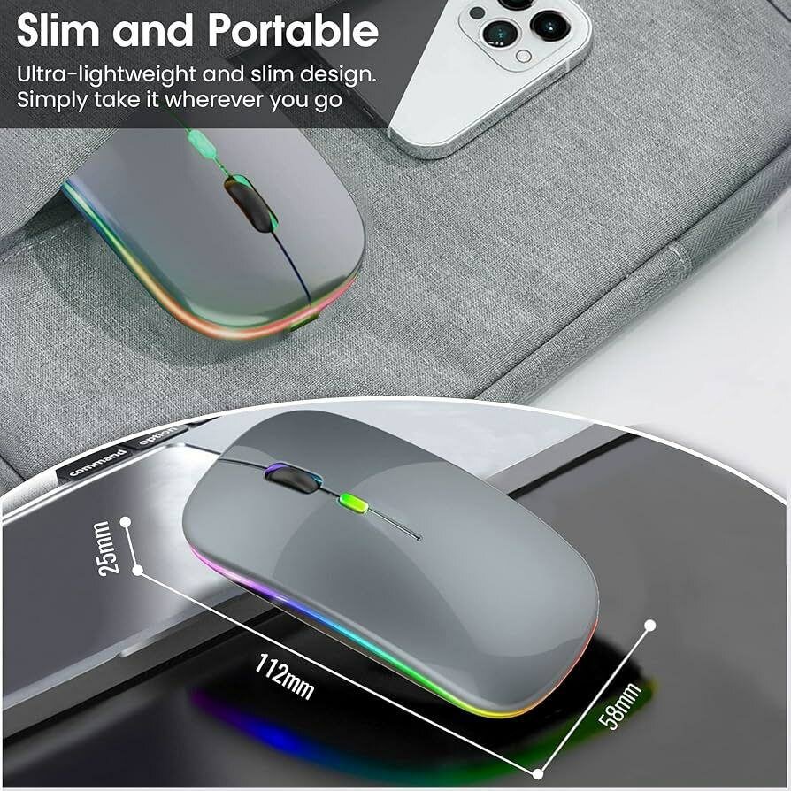 Souris sans fil ergonomique légère