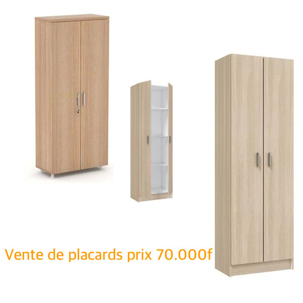 Armoire en Bois Moderne