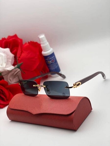 Lunettes élégantes avec boîtier